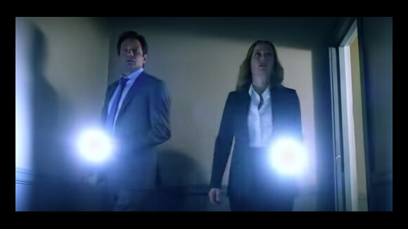 Gillian Anderson et David Duchovny: Réunis et inquiets pour le retour de X-Files