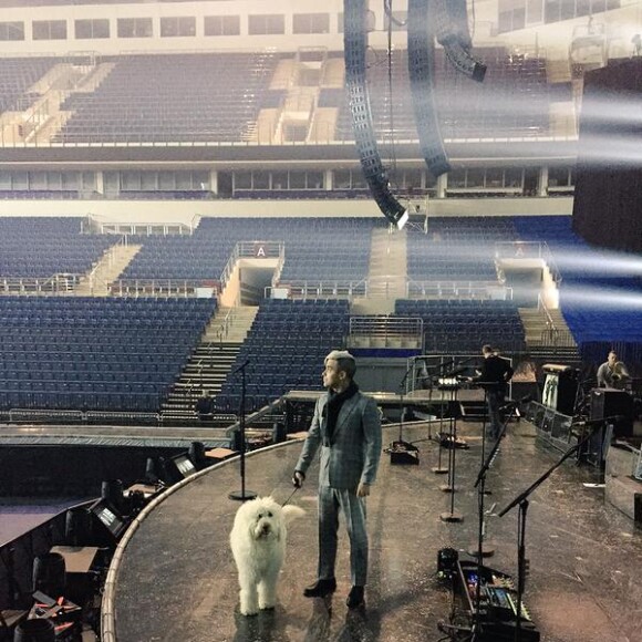 Spencer, le chien de Robbie Williams, accompagne son maître en tournée / photo postée sur le compte Twitter de Spencer.
