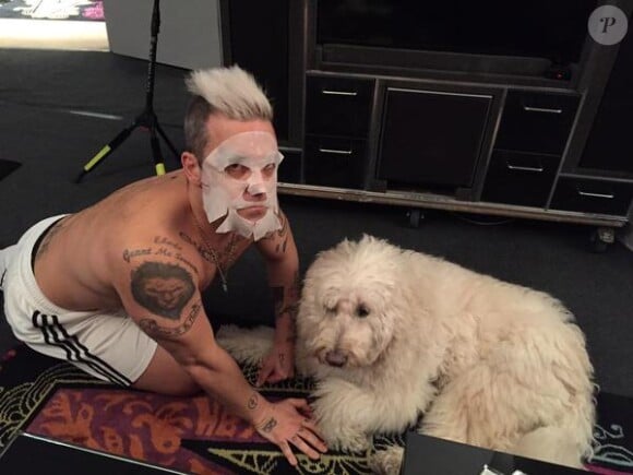 Robbie Williams fait un soin du visage avec son chien Spencer / photo postée sur le compte Twitter de Spencer.