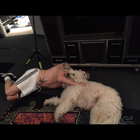 Robbie Williams et son chien Spencer / photo postée sur le compte Twitter de Spencer.