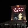 Céline Dion se produit au Caesars Palace de Las Vegas jusqu'en 2019