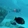 Marine Lorphelin passe un week-end de rêve avec son chéri, à Bora Bora. Novembre 2015.