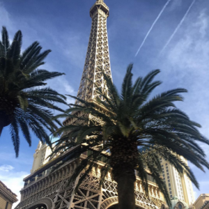 Flora Coquerel : voyage à Las Vegas pour Miss Univers 2015