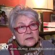 Christiane Vauquelin, la Laurette du chanteur, rend hommage à Michel Delpech - JT de France 2, dimanche 3 janvier 2015.