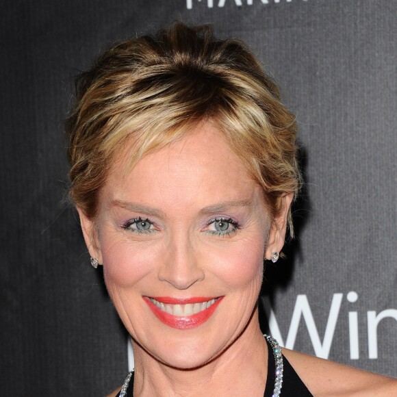 Sharon Stone au gala de l'amfAR à Los Angeles, le 29 octobre 2014.