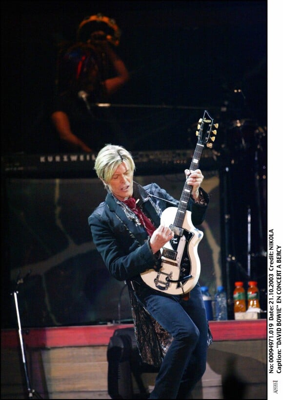 David Bowie en concert à Bercy en 2003