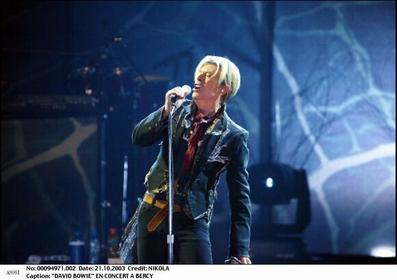 David Bowie en concert à Bercy en 2003