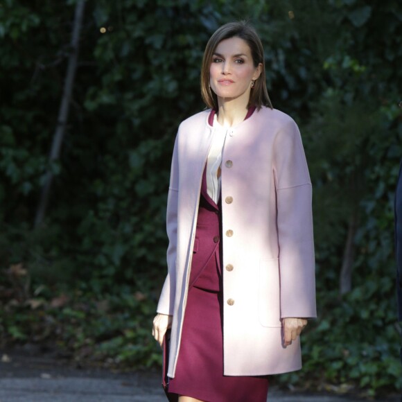 La reine Letizia d'Espagne lors d'une réunion de travail de la fondation FAD (Fondation d'aide à la lutte contre la toxicomanie) en son siège à Madrid le 12 janvier 2016. Elle a repris en septembre 2015 le rôle de présidente d'honneur de l'organisme précédemment tenu par sa belle-mère la reine Sofia.