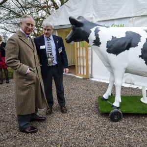 Le prince Charles rencontre la vache Milky Way en visite à l'association Send a Cow dont il est le président à Bath le 1er février 2016.