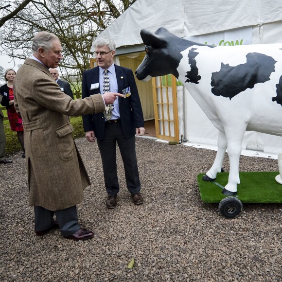 Le prince Charles rencontre la vache Milky Way en visite à l'association Send a Cow dont il est le président à Bath le 1er février 2016.