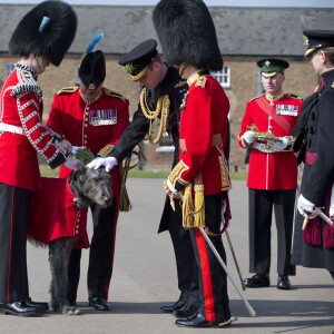 Le prince William lors des cérémonies de la Saint-Patrick avec les Irish Guards à la caserne de la cavalerie Hounslow à Londres le 17 mars 2016.