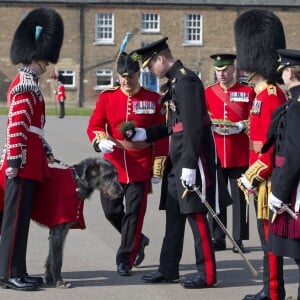 Le prince William lors des cérémonies de la Saint-Patrick avec les Irish Guards à la caserne de la cavalerie Hounslow à Londres le 17 mars 2016.