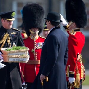 Le prince William lors des cérémonies de la Saint-Patrick avec les Irish Guards à la caserne de la cavalerie Hounslow à Londres le 17 mars 2016.