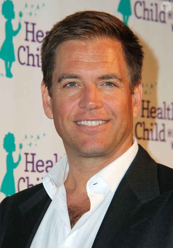 Michael Weatherly lors du "Healthy Child Healthy World "Mom On A Mission GALA" 2014" à Los Angeles le 29 octobre 2014.