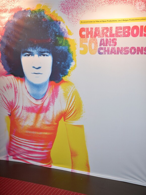 Illustration - Photocall du concert "Charlebois, 50 ans en chansons" au théâtre Bobino à Paris le 11 avril 2016. © Veeren/Bestimage
