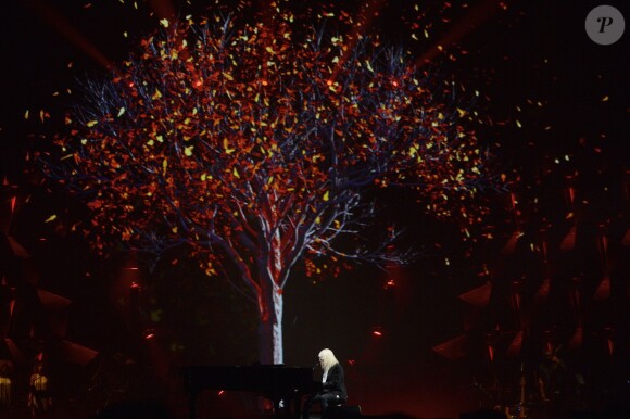 Michel Polnareff - Jour 4 - Concert de Michel Polnareff à l'AccorHotels Arena de Paris le 11 mai 2016. © Coadic Guirec/Bestimage