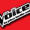 Logo de l'émission The Voice, sur TF1.