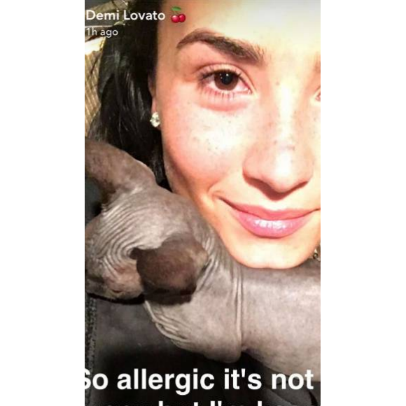 Demi Lovato et son éphémère chaton, juin 2016.