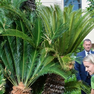 Exclusif - La startup "Terre de Monaco", dirigée par Jessica Sbaraglia installe ses potagers à la fondation Albert II le 5 juillet 2016.