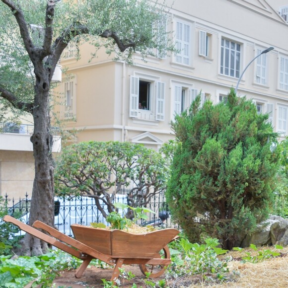 Exclusif - La startup "Terre de Monaco", dirigée par Jessica Sbaraglia installe ses potagers à la fondation Albert II le 5 juillet 2016.