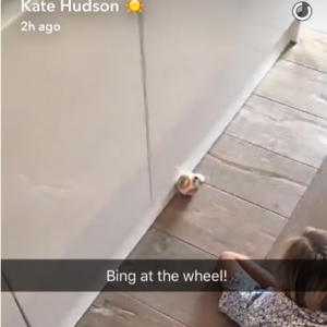 Kate Hudson et Matthew Bellamy fêtent le 5e anniversaire de leur fils Bingham, ce 9 juillet 2016. Ils sont allés voir la pièce de théâtre Harry Potter : The Cursed Child et lui ont offerts un droïde télécomandé Star Wars. Ils lui ont aussi offerts un gâteau en forme de skate-board à l'éffigie de Tony Hawk.