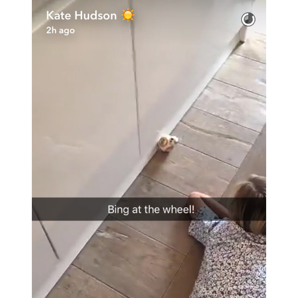 Kate Hudson et Matthew Bellamy fêtent le 5e anniversaire de leur fils Bingham, ce 9 juillet 2016. Ils sont allés voir la pièce de théâtre Harry Potter : The Cursed Child et lui ont offerts un droïde télécomandé Star Wars. Ils lui ont aussi offerts un gâteau en forme de skate-board à l'éffigie de Tony Hawk.