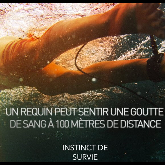 Petit conseil avec Blake Lively pour Instinct de survie.