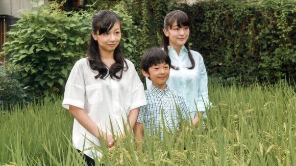 Hisahito d'Akishino a 10 ans : Le petit prince dans la rizière avec ses soeurs