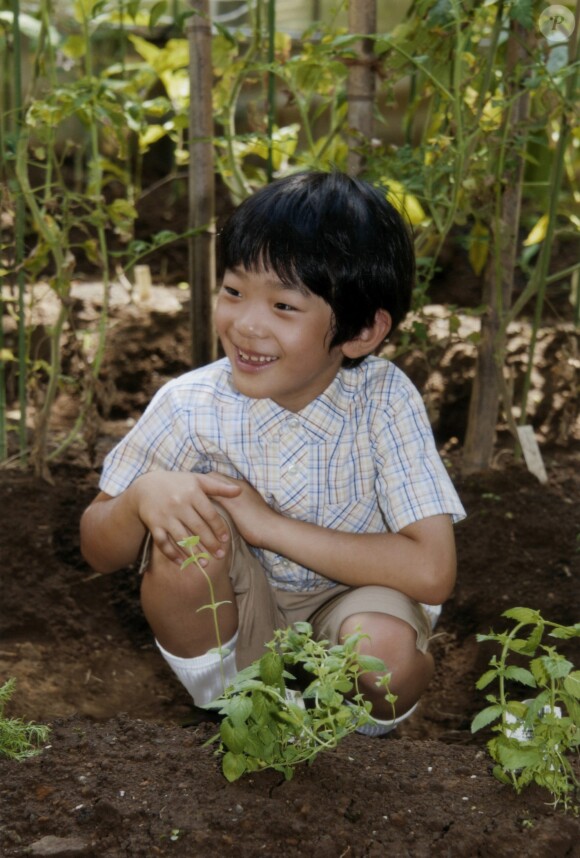 Le prince Hisahito du Japon qui fête ses 8 ans pose dans le jardin de la résidence familiale au Japon le 6 septembre 2014.