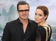 Divorce de Brad Pitt et Angelina Jolie : Le poids de leur fortune dans la guerre