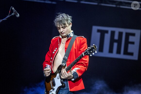 Pete Doherty lors du concert de son groupe anglais The Libertines pendant le Festival annuel de musique Way Out West à Göteborg, le 12 août 2016.