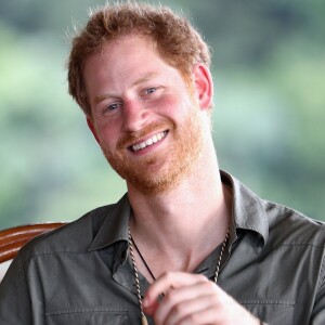 Le prince Harry en Guyane dans le cadre de son voyage aux Caraïbes visite le village de Surama le 3 décembre 2016