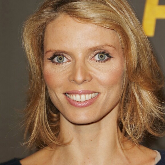 Sylvie Tellier - Avant-première du film "Alliés" au cinéma UGC Normandie à Paris, le 20 novembre 2016. © Christophe Aubert via Bestimage