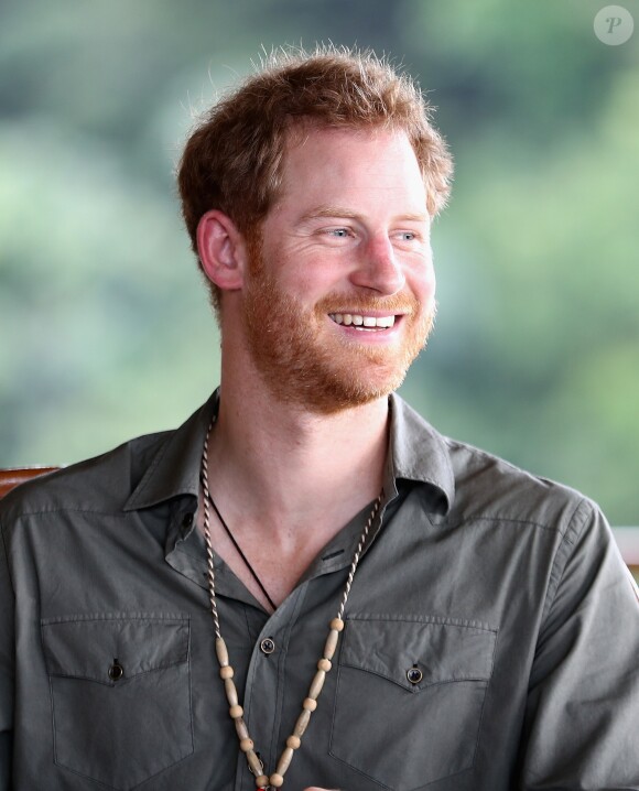 Le prince Harry en Guyane dans le cadre de son voyage aux Caraïbes visite le village de Surama le 3 décembre 2016
