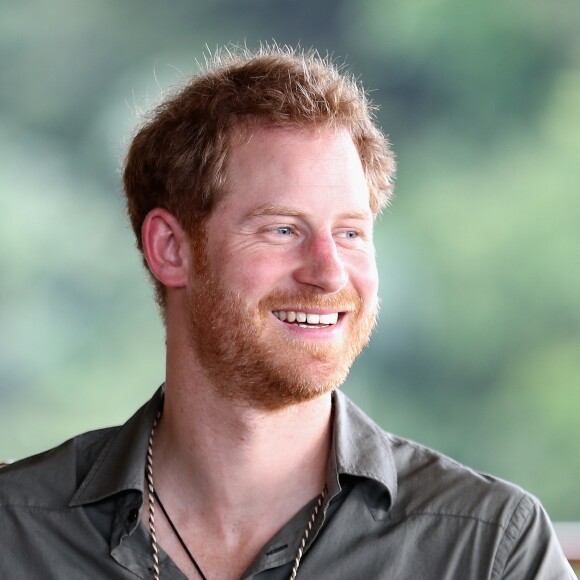 Le prince Harry en Guyane dans le cadre de son voyage aux Caraïbes visite le village de Surama le 3 décembre 2016