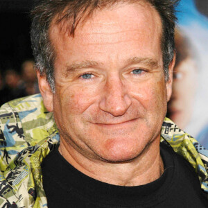 Robin Williams à une première d'Harry Potter à New York en 2002.