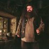 Rubeus Hagrid, joué par Robbie Coltrane dans la saga Harry Potter.
