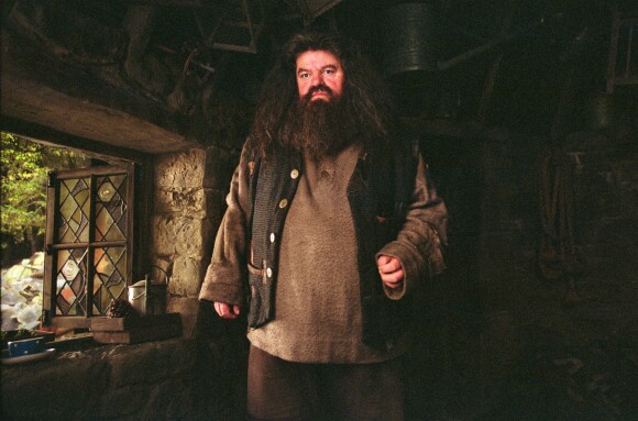 Rubeus Hagrid, joué par Robbie Coltrane dans la saga Harry Potter.