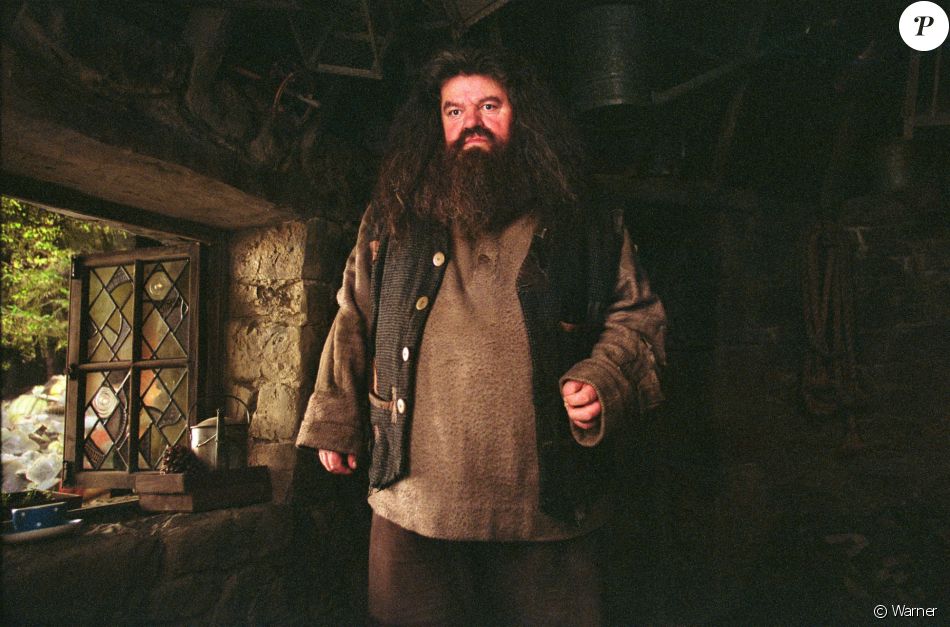 Rubeus Hagrid Joue Par Robbie Coltrane Dans La Saga Harry Potter