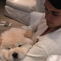 Justin Bieber abandonne encore un animal, malade et menacé d'euthanasie !