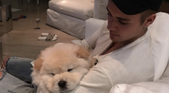 Justin Bieber et son chien Todd, adopté au mois d'août 2016. Photo publiée sur son compte Instagram, qu'il a depuis supprimé.
