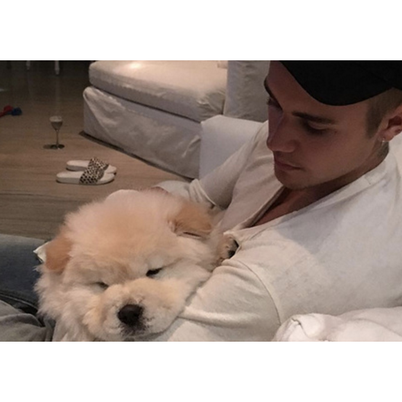 Justin Bieber et son chien Todd, adopté au mois d'août 2016. Photo publiée sur son compte Instagram, qu'il a depuis supprimé.
