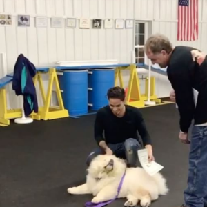 CJ Salvador reçoit un diplôme après avoir passé plusieurs cours d'éducation avec son chien Todd. Photo publiée sur sa page Instagram au mois de décembre 2016