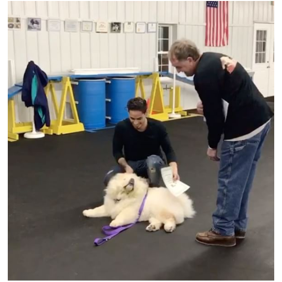 CJ Salvador reçoit un diplôme après avoir passé plusieurs cours d'éducation avec son chien Todd. Photo publiée sur sa page Instagram au mois de décembre 2016