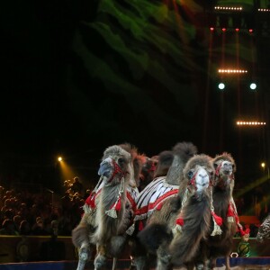 La troupe Exotic animals by Marek Jama - La famille princière de Monaco lors du 41e Festival International du Cirque de Monte-Carlo, le 20 janvier 2017. © Pool/Frédéric Nebinger Monaco/Bestimage