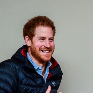 Le prince Harry visite le Help For Heroes Recovery Centre à la Tedworth House à Tidworth, le 23 january 2017, où le prince a appris des choses concernant l'aide apportée aux vétérans souffrant de maladies mentales.