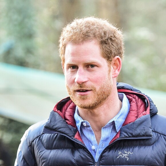 Le prince Harry visite le Help For Heroes Recovery Centre à la Tedworth House à Tidworth, le 23 january 2017, où le prince a appris des choses concernant l'aide apportée aux vétérans souffrant de maladies mentales.