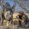Le prince Harry en train de soigner un rinhocéros au Botswana en septembre 2016 avec des membres de la Rhino Conservation Botswana (RCB). En janvier 2017, l'organisme de protection des rhinocéros a annoncé le prince comme parrain.