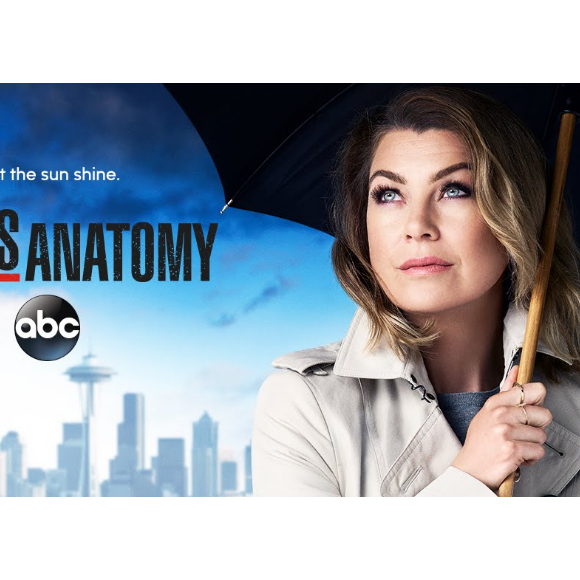 Affiche de l'épisode final de la saison 12 de Grey's Anatomy.