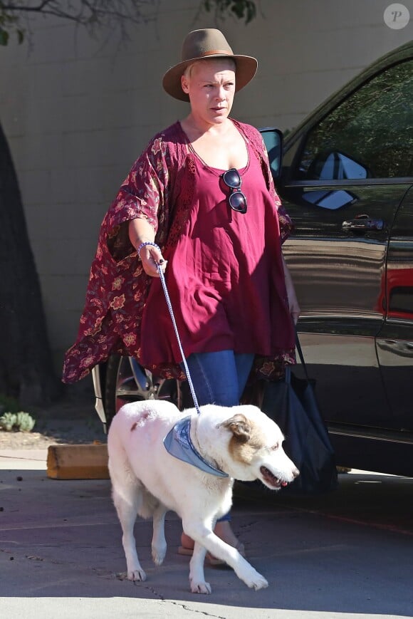 Exclusif - La chanteuse Pink, sans maquillage, dépose son chien chez le vétérinaire à Santa Barbara le 10 octobre 2015